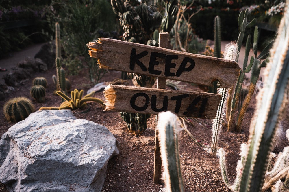 Wooden Keep Out sign in a desert garden.